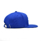 Изготовленные на заказ приспособленные вышивки слойки крышки 3d Snapback шляпы крышки шляп Snapback неструктурированной голубые
