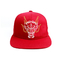 Крышка Снапбак логотипа вышивки шляпа/3Д Снапбак панели таможни 6