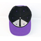 Логотипа 5 шляп Снапбак кроны панели бедро брим высокого изготовленного на заказ плоское - крышка Бсси хмеля