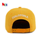 Изготовленная на заказ квартира наполняется до краев шляпы Snapback с кнопки хмеля логотипов вышивки 3D крышками тазобедренной задними
